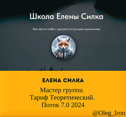 Елена Силка Мастер группа.  Тариф Теоретический. Поток 7.0 2024