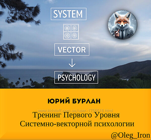 Юрий Бурлан  Тренинг Первого Уровня Системно-векторной психологии
