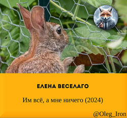   Елена Веселаго    Им всё, а мне ничего 2024