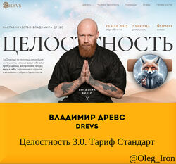 Владимир Древс Drevs Целостность 3.0. Тариф Стандарт