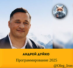  Андрей Дуйко  Программирование 2025