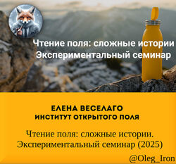 Елена Веселаго Чтение поля сложные истории. Экспериментальный семинар 2025