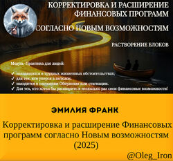 Эмилия Франк  Корректировка и расширение Финансовых программ 2025