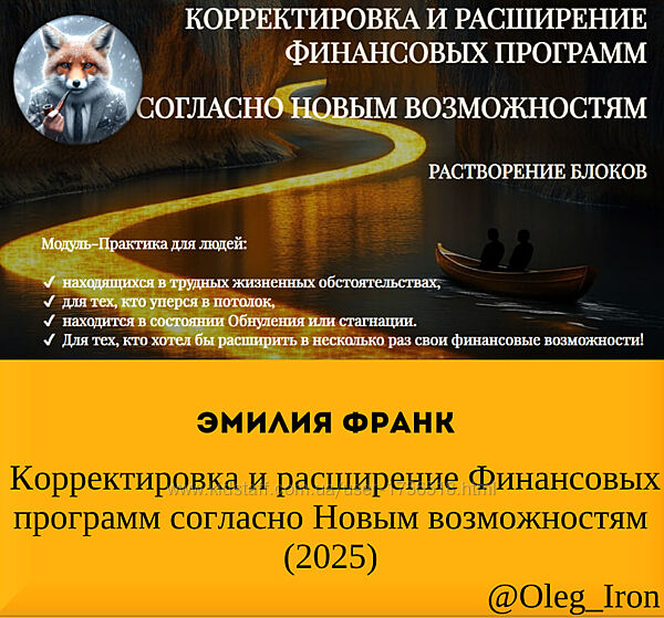 Эмилия Франк Корректировка и расширение Финансовых программ 2025