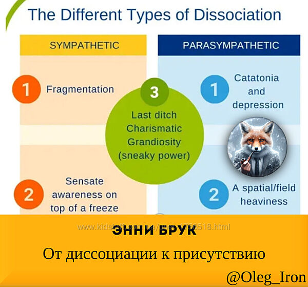 Энни Брук От диссоциации к присутствию с Энни Брук