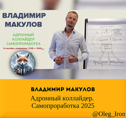 Владимир Макулов Адронный коллайдер. Самопроработка 2025