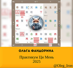  Ольга Фандорина  Практикум Ци Мень 2025