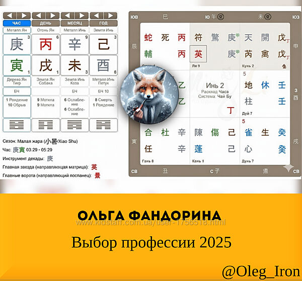 Ольга Фандорина  Выбор профессии 2025  веб 1 и 2