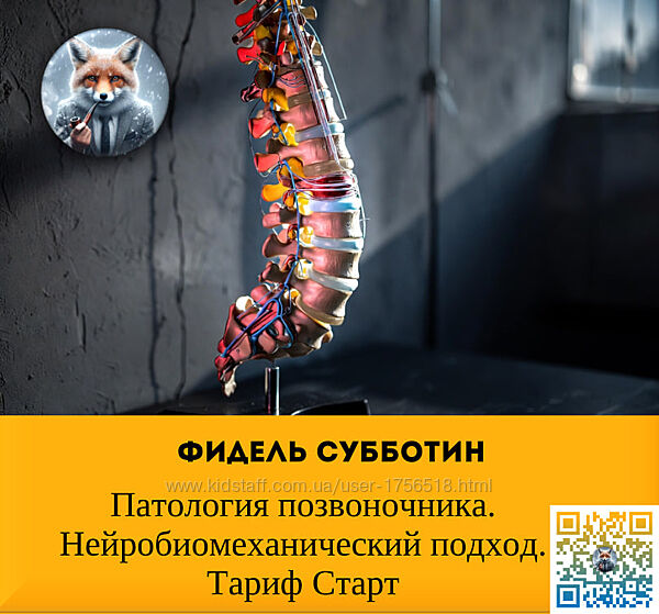 Фидель Субботин Патология позвоночника. Нейробиомеханический подход 