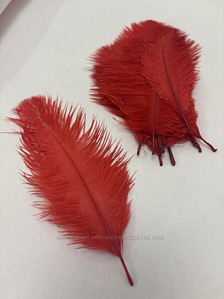 Декоративне перо