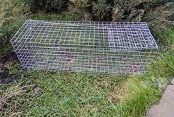 #2: Живоловка на кота