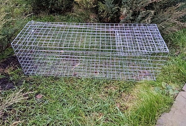 #2: Живоловка на кота