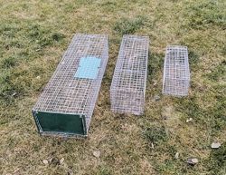 #3: Живоловушки на кота