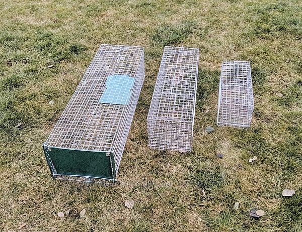 #3: Живоловушки на кота