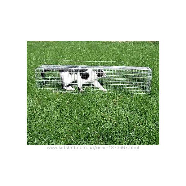 #5: Котоловушка для кота