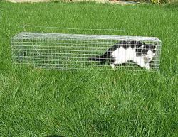 #6: котоловка безопасная