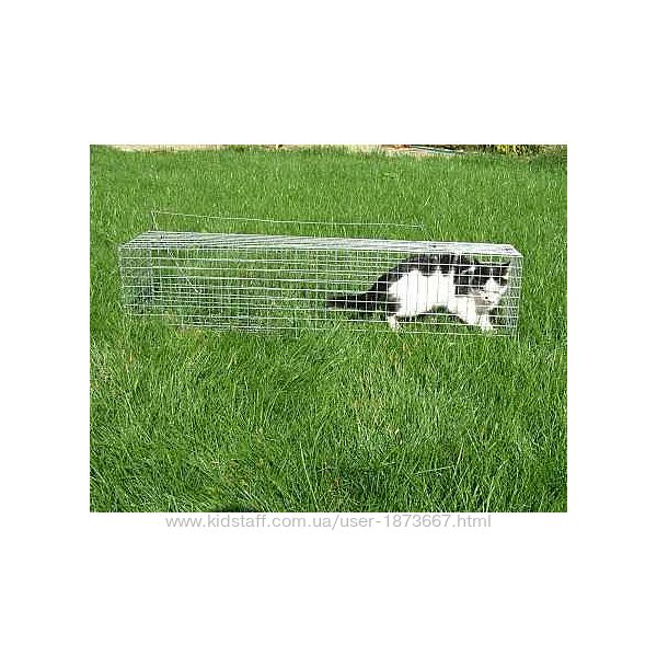 #6: котоловка безопасная