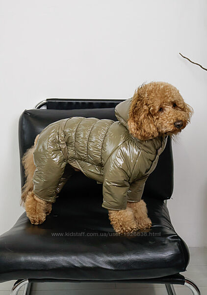 Одежда для собак зимний комбинезон лакированные
