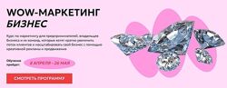 Анастасия Полянская  WOW. Маркетинг. Тариф Pro 2024