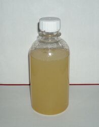 Масло липы ручная работа 250 мл