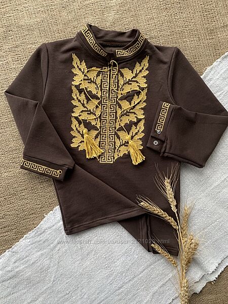 Вишиванка для хлопчика коричнева