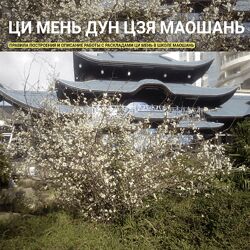 Алексей Левандовский Ци Мень Дун Цзя Маошань