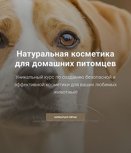 Елена Золотухина Косметика для питомцев 2024