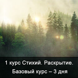 Ксения Меньшикова Факультет Стихии. 1 курс. 1 курс Стихий. Сила Стихий.