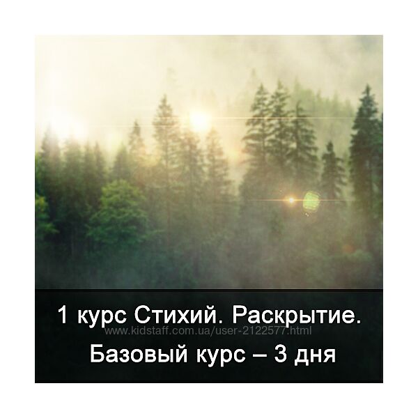 Ксения Меньшикова Факультет Стихии. 1 курс. 1 курс Стихий. Сила Стихий.
