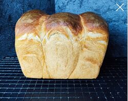 Светлана Кучерявая Большой пшеничный курс 