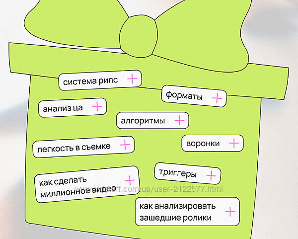 Анна Галашева ReelsBox 2024 Курс по рилс и привлечению подписчиков