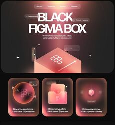 Кристина Анфалова Black Figma Box