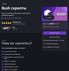 Антон Ларичев Bash скрипты purpleschool 2025