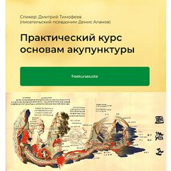 Дмитрий Тимофеев Практический курс основам акупунктуры. 3 Модуль 2024