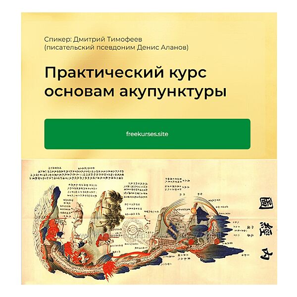 Дмитрий Тимофеев Практический курс основам акупунктуры. 3 Модуль 2024