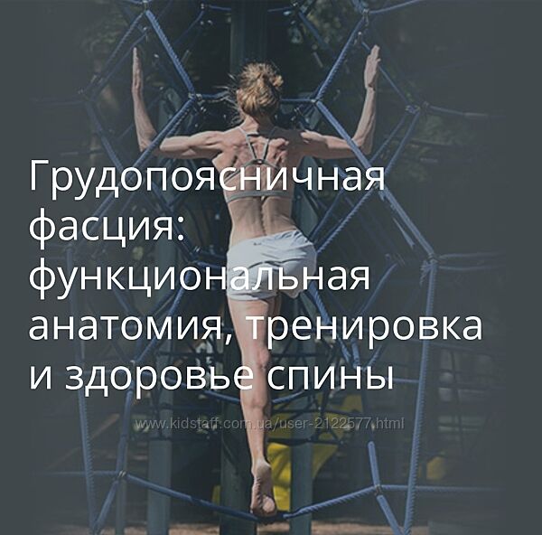 Карин Гуртнер Грудопоясничная фасция функциональная анатомия, тренировка