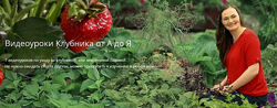 Видеоуроки Клубника от А до Я Вячеслав Грисюк, Юлия Петровна