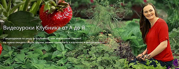 Видеоуроки Клубника от А до Я Вячеслав Грисюк, Юлия Петровна