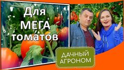 Томатный курс Вячеслав Грисюк, Юлия Петровна