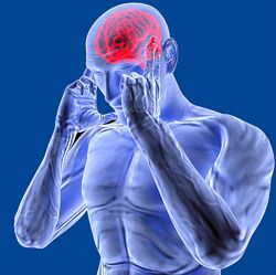 Николай Струков Метод P-DTR 2024. 2 модуль