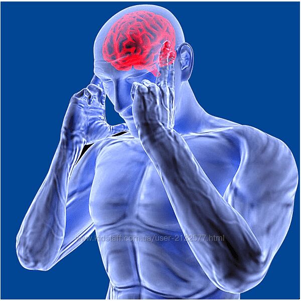 Николай Струков Метод P-DTR 2024. 2 модуль