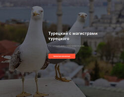 Дарья Колосова Фонетический курс для начинающих уровень А1 Lingua Turca