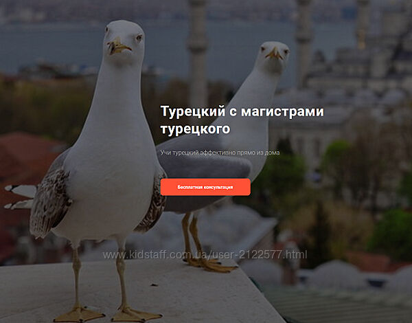 Дарья Колосова Фонетический курс для начинающих уровень А1 Lingua Turca