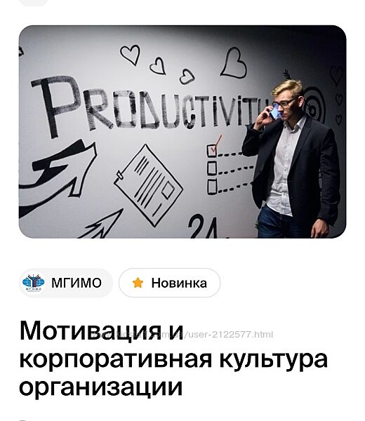 Ленар Юнусов Мотивация и корпоративная культура организации МГИМО 2024