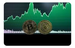 Светлана Перцева Цифровые технологии в международных финансах. Практикум