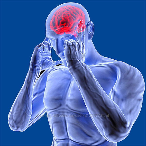 МЕТОД P-DTR Хосе Паломар