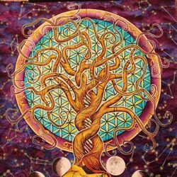 Ирина Бердина IX модуль. Выход на новые уровни развития. Родовые и семейные