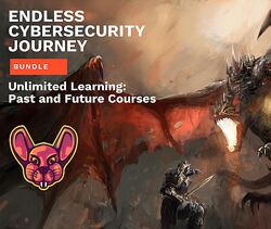 The XSS Rat Набор из 26 курсов по информационной безопасности 2024