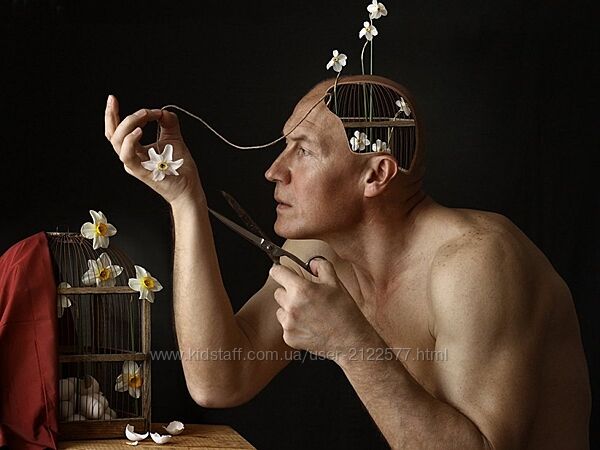 Натан Крейвис Нарциссический урон и нарциссические защиты в клинической