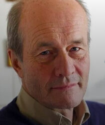 Марк Брайн Работа в ЕМДР с привязанностью 2025